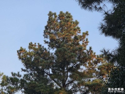 【镜头里的故事】户外的阳光