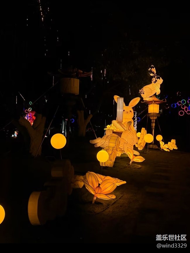 【冬日旅行色】灯会