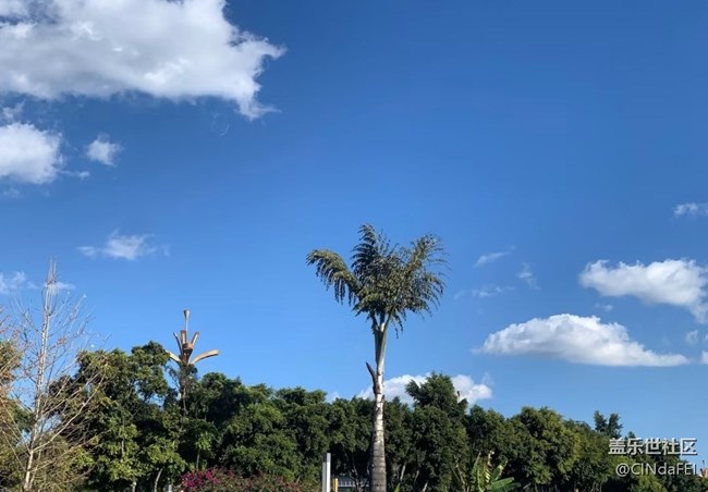 【冬日旅行色】玉溪之行