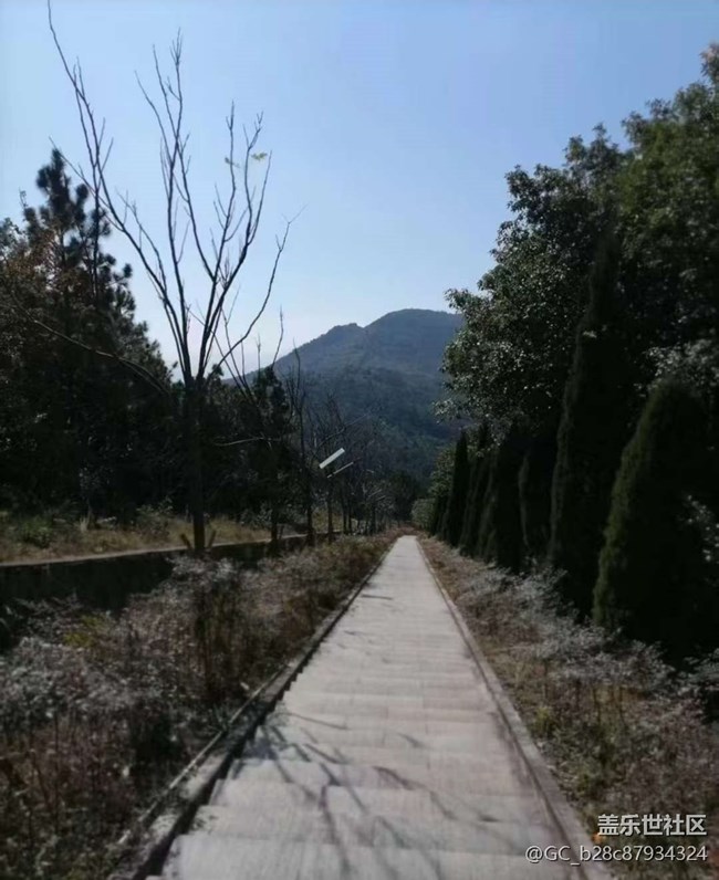 【冬日旅行色】山顶美景