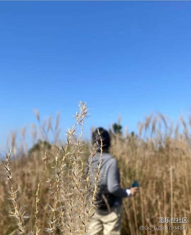 【冬日旅行色】山顶美景