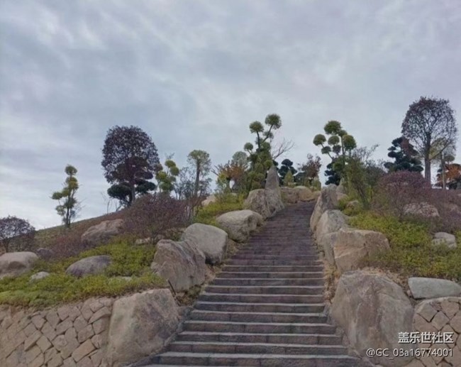 【冬日旅行色】植物园