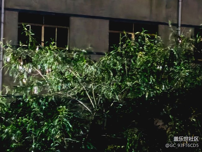 拍照模糊，不清手机