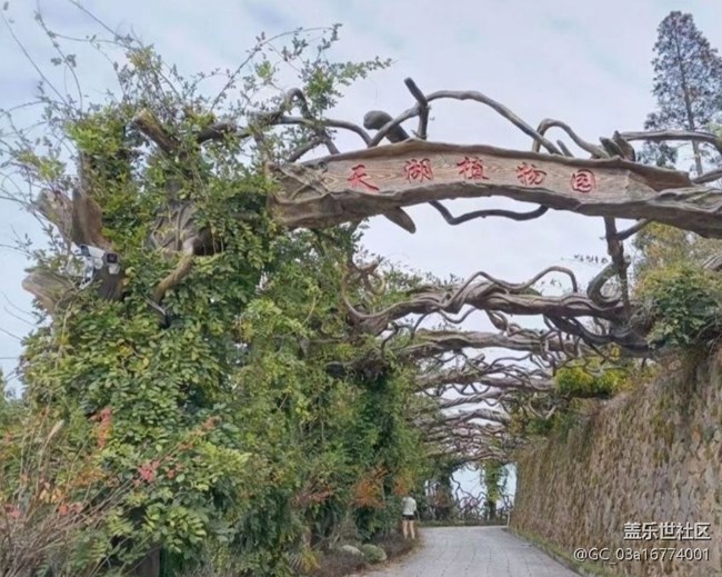 【冬日旅行色】植物园