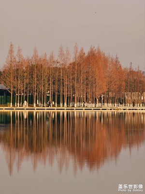 【身边的小自然】+湖光山色