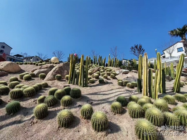 【冬日旅行色】最美的风景