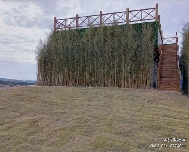 【冬日旅行色】植物园