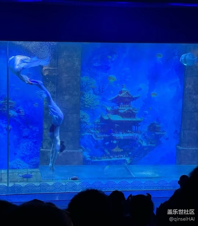 【冬日旅行色】海洋馆