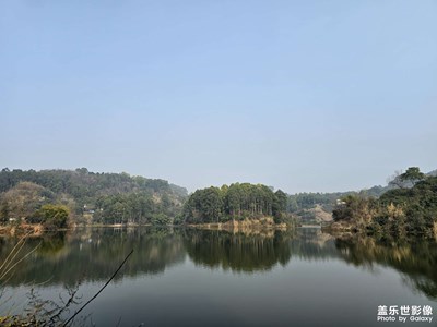 【身边的小自然】+冬日徒步