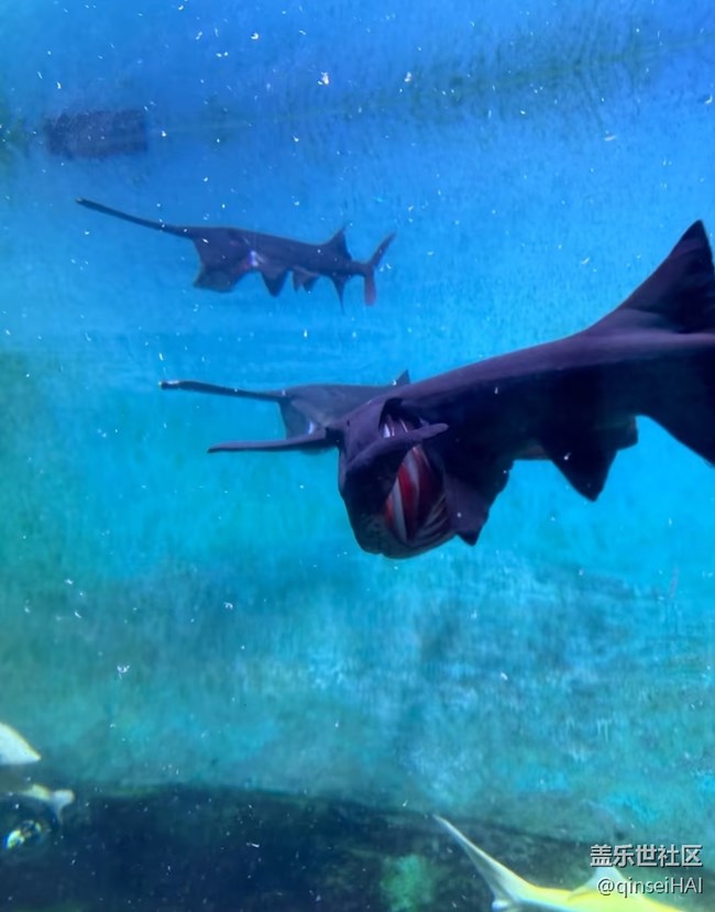 【冬日旅行色】海洋馆