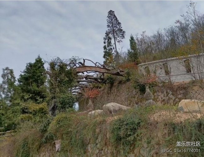 【冬日旅行色】植物园