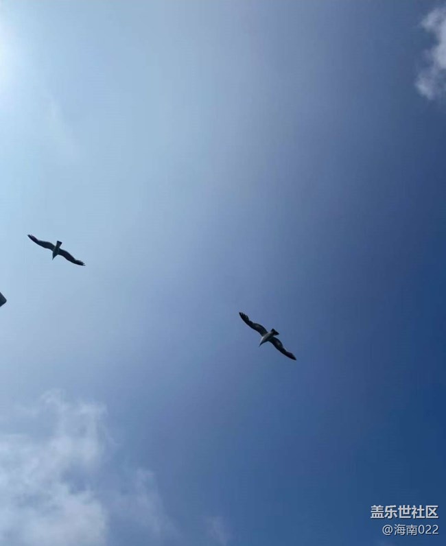 【冬日旅行色】快乐生活