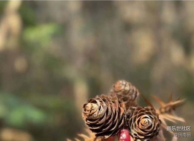 【冬日旅行色】游山玩水