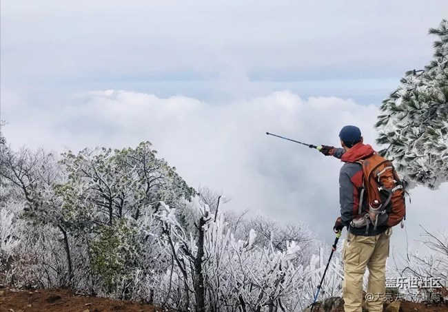 踏雪登顶桐杭岗