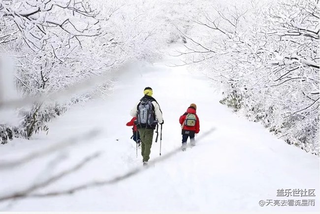 踏雪登顶桐杭岗