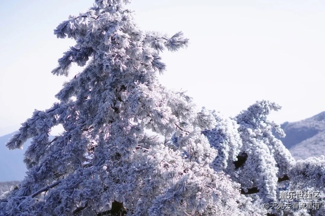 踏雪登顶桐杭岗