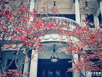 【身边的小自然】+走走逛逛看看