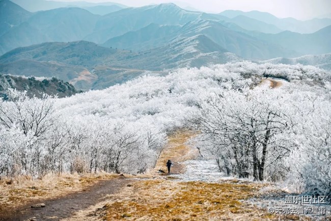 踏雪登顶桐杭岗
