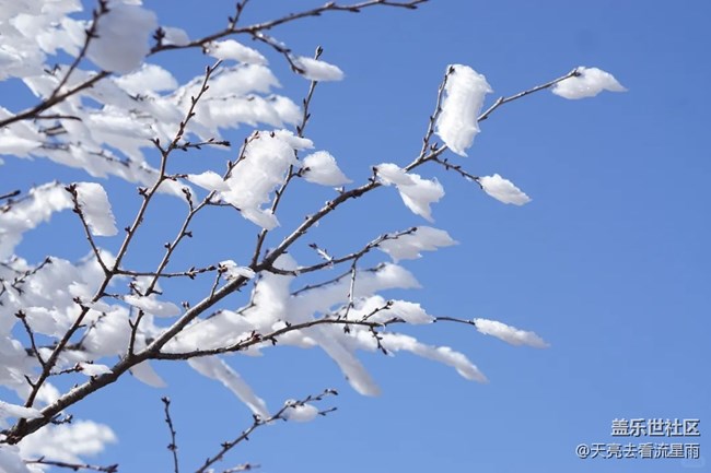 踏雪登顶桐杭岗