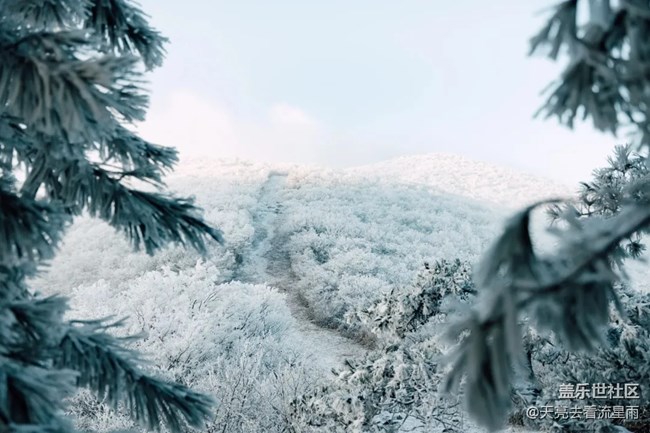 踏雪登顶桐杭岗