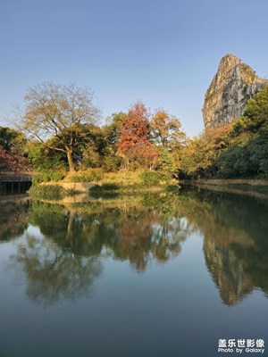 [身边的小自然]南城冬暖秋未尽