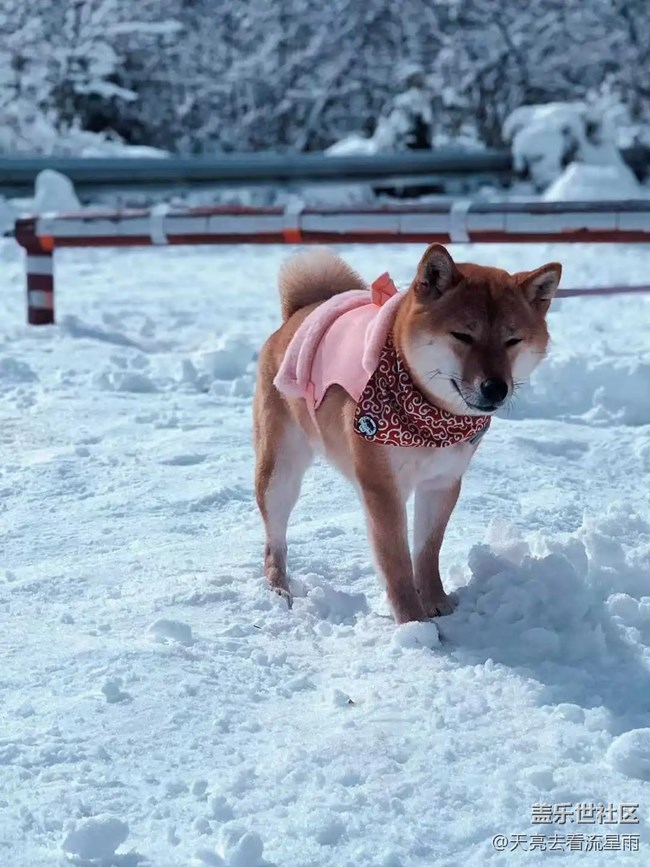 绝美高山冬景行