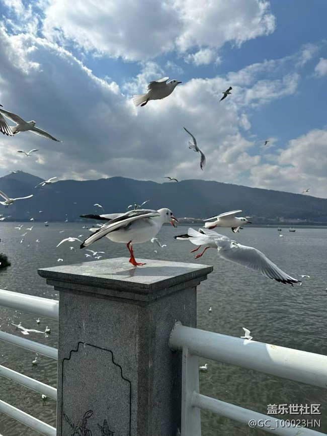 【冬日旅行色】云南游