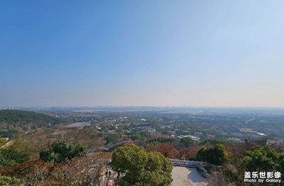 【身边的小自然】登高望远