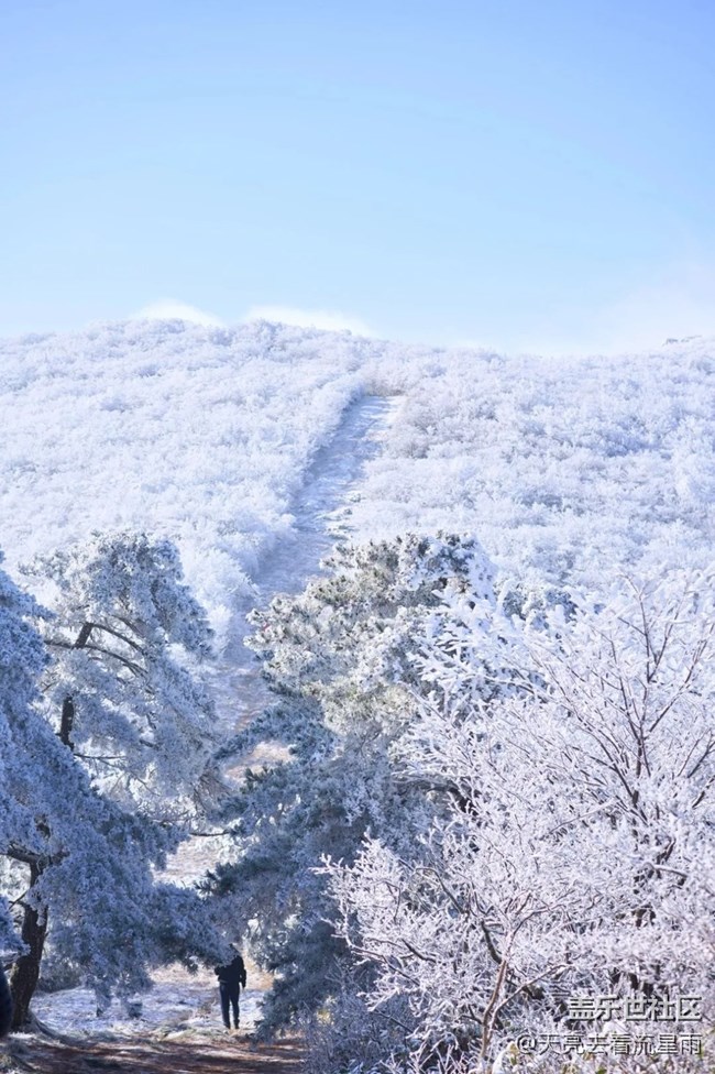 绝美高山冬景行