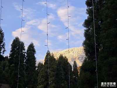 【身边的小自然】自然景致