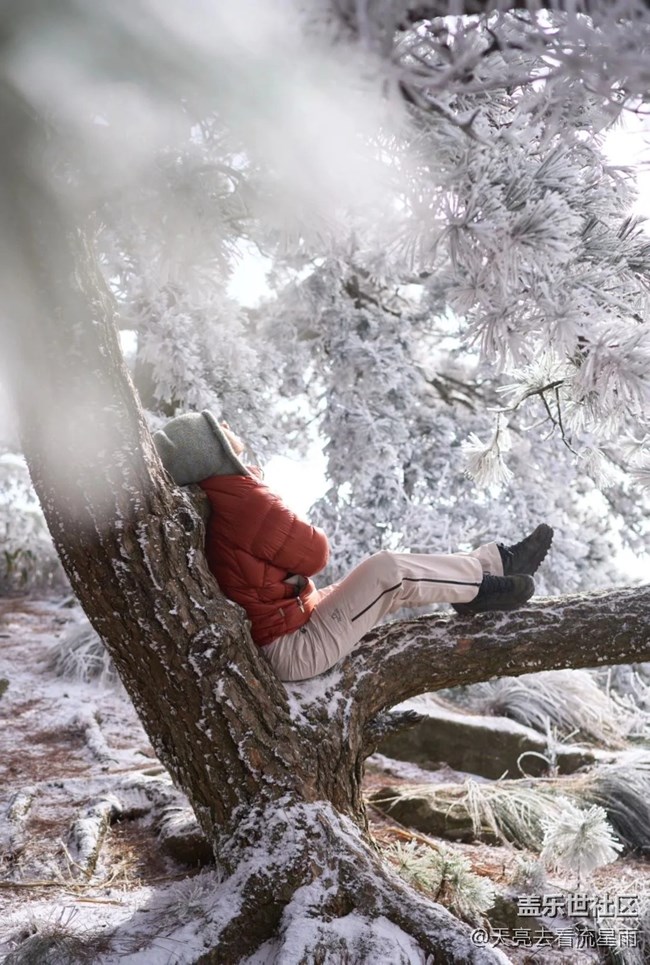 绝美高山冬景行