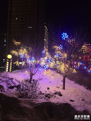 【身边的小自然】+冬季水果