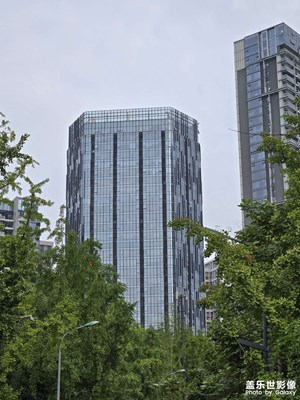 【身边的小自然】走出门