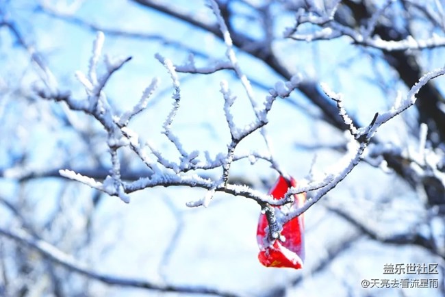 绝美高山冬景行