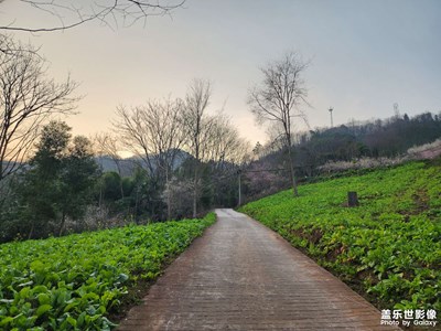 【换个角度看世界】+大邑雁鹅村看梅花