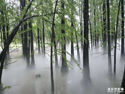 【换个角度看世界】+雨中游园