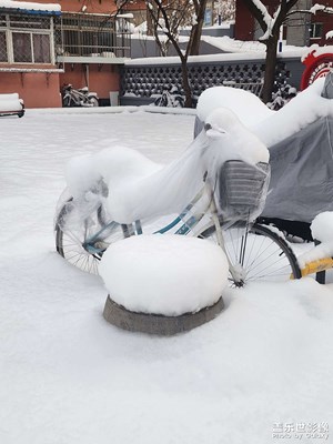 【换个角度看世界】+北京的雪
