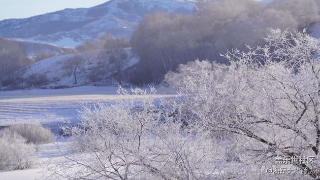 【冬韵】冬韵里,是雪与光的温柔相拥 【冬韵】冬韵里,是雪与光的温柔相拥