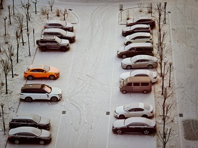 【摄影版块二月第一周】不期而遇的美