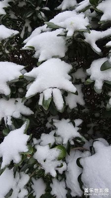 【换个角度看世界】雪景