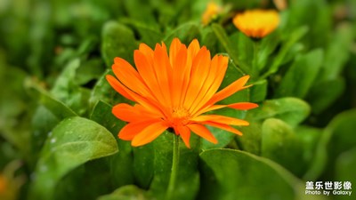 【换个角度看世界】+视界都是精彩的