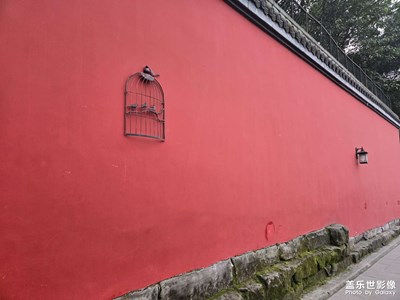 【换个角度看世界】随手拍的日常