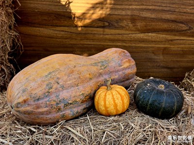 【换个角度看世界】