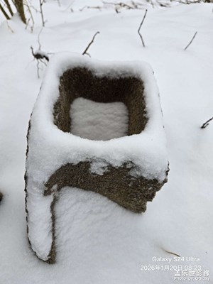 【换个角度看世界】+闲时随拍