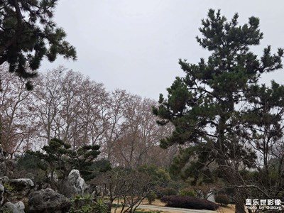 【换个角度看世界】园林风光