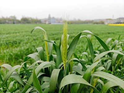 【换个角度看世界】乡下