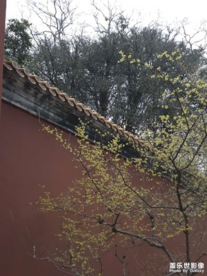 【换个角度看世界】冬天