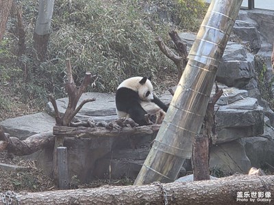 【换个角度看世界】可爱的动物