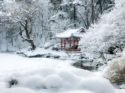 Galaxy S23 Ultra 瑞雪（下）