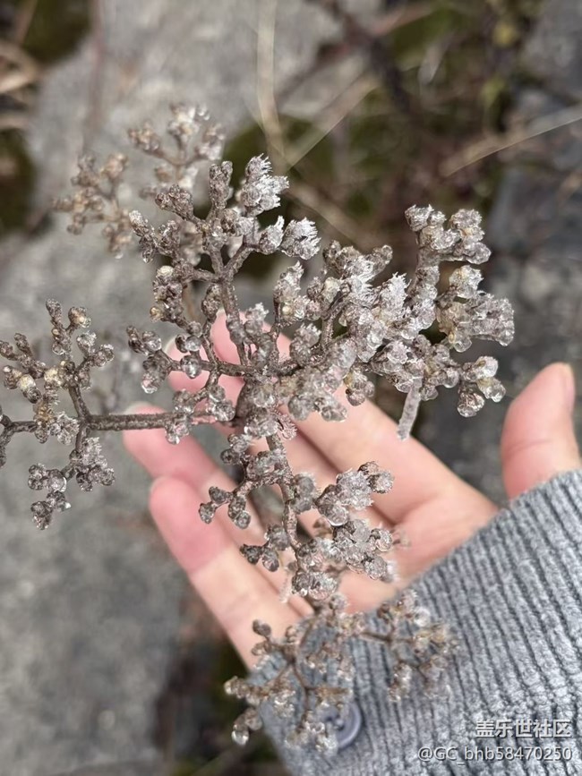 【早春第一站】赏雾凇